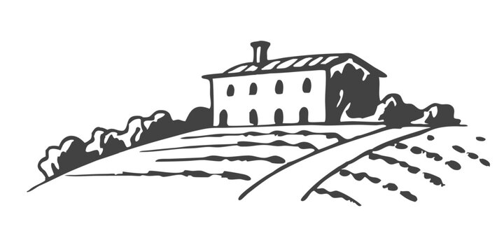 Hand-drawn sketch illustration of a Tuscany landscape, featuring rolling hills, agricultural fields, and rustic charm. Perfect for travel, farm, and countryside-themed designs.
