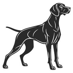 Weimaraner Dog Silhouette vector illustration