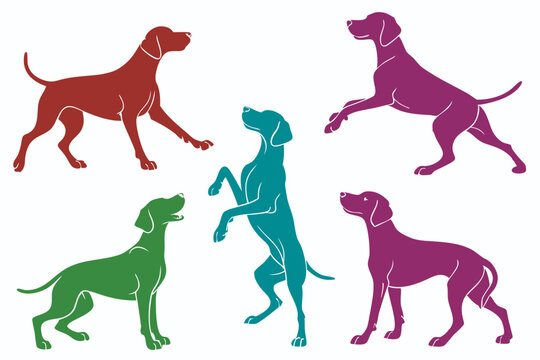 set of Weimaraner Dog Silhouette vector illustration