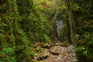 Limestone gorge in the mountains........