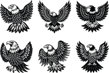 Fototapeta premium American Eagle Vector Silhouette Clipart Pet Animal SVG Design Bundle