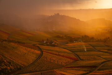 Dramatische Stimmung im Herbst in den Weinbergen bei Stuttgart. Auf dem Kappelberg Blick Richtung...