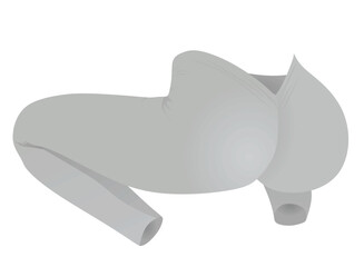 V back tight pants leggings. vector illustration