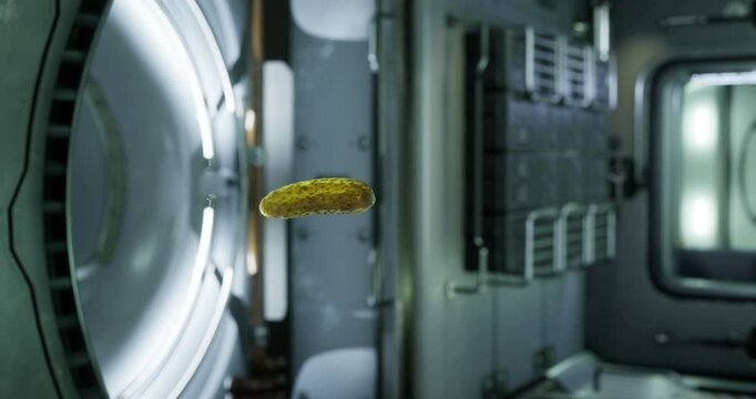 A pickled cucumber drifts in the zero gravity environment of the international space station, showcasing the unique experiences of astronauts during their missions in space.