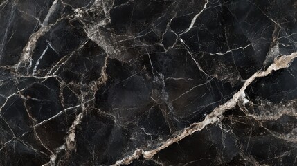 Dark charcoal black marble with deep gray veins,
