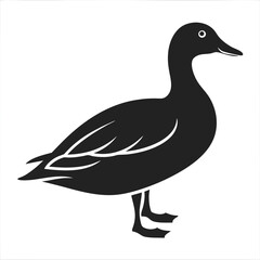 Duck Silhouette vector illustration