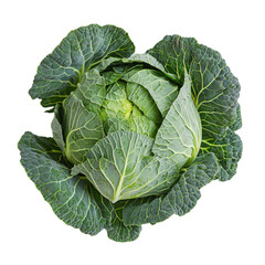 Cabbage photography isolated food close-up freshness