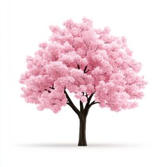 Lush Pink Cherry Blossom Tree Isolated on White Background Perfect for Spring Celebrations and Seasonal Decor