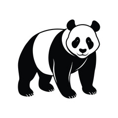 panda bear vector illustration
