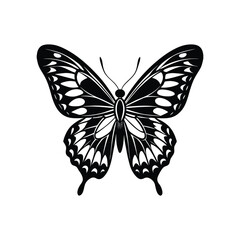 butterfly vector illustration