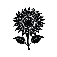 sunflower vector illustration
