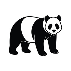 vector illustration of a panda