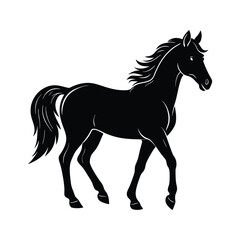 horse silhouette isolated on white