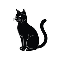 black cat on white background