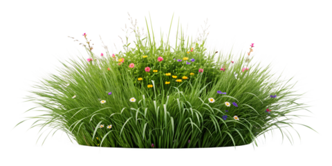 Bush with Grass and Wildflowers for Beautiful Garden and Landscape Accents, PNG Transparent