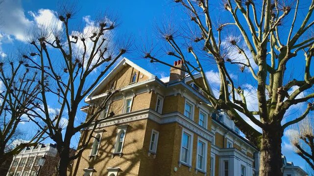 Old Residential Georgian Building Exteriors, Notting Hill, London Plane Trees Winter, Victorian Edwardian Facades, Historic Townhouses, Pollarded London Plane Trees, Mature Lime Trees West London UK