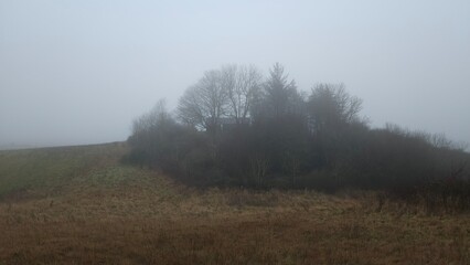 Fototapeta premium foggy road in the fields and forest