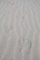 Fussabdruck im Sand.  Die Spur des Lebens – Fußabdruck im weichen Sand.