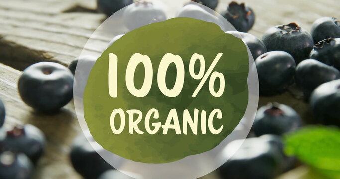 Image of 100 percent organic text over blueberries