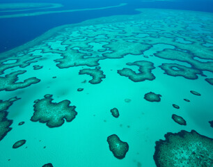 Fototapeta premium Aerial view of the Great Barrier Reef. Coral bommies visible through turquoise shallows in crystal-clear waters