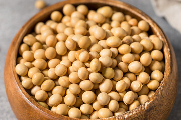 Dry Organic Raw Soy Beans