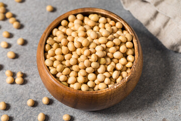 Dry Organic Raw Soy Beans