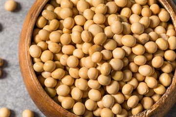 Dry Organic Raw Soy Beans