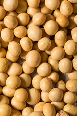 Dry Organic Raw Soy Beans
