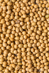 Dry Organic Raw Soy Beans