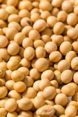 Dry Organic Raw Soy Beans