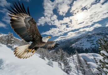 Majestic Bald Eagle Soaring Over Snowy Mountain Landscape in Bright Blue Sky with White Clouds and Sunlight Emphasizing Natural Beauty of Wilderness