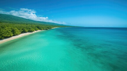 Obraz premium Turquoise waters meet lush greenery under brilliant blue sky, cr