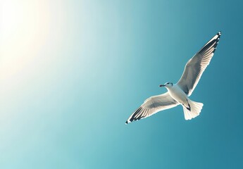 Obraz premium Majestic Bird in Flight Against a Bright Sky with Subtle Light Gradients for Nature Lovers and Wildlife Enthusiasts in Stock Photography