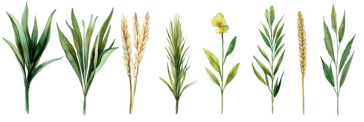 Watercolor botanical illustrations nature scene artwork greenery aesthetic translate background