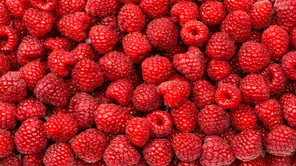 Tasty fresh raspberry as a background.