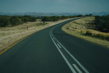 Asphalt road in Namibia, many trees along the sides of the road, mountains ahead