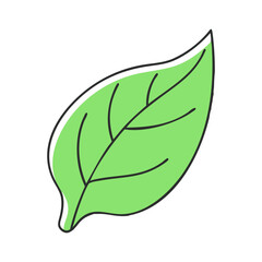 Fototapeta premium Simple Green Leaf Icon Illustration, A minimal and clean green leaf illustration, ideal for nature, eco-friendly, and environmental design projects. 