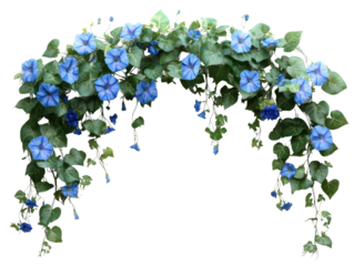 A vibrant display of blue morning glory flowers cascading over delicate green foliage.