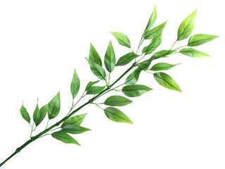 Fototapeta premium A vibrant green leaf branch showcasing natural beauty and elegance.
