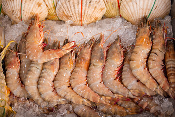 Fresh seafood display of shrimp and shellfish at vibrant thailand fish market