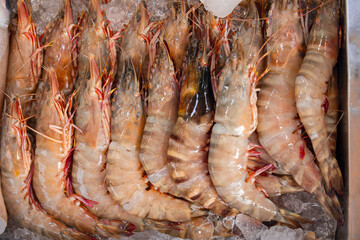 Fresh seafood display at thailand fish market featuring assorted shrimp on ice