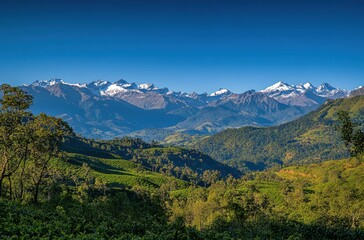 Fototapeta premium Majestic Mountain Landscape with Snow-Capped Peaks and Lush Green Hills Under a Clear Blue Sky in Nature's Serenity