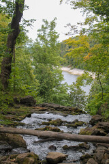 Hilton Falls Conservation Area stream flowing over rocky terrain with a wider river visible in the...