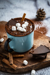 Cozy Winter Hot Chocolate with Marshmallows and Cinnamon