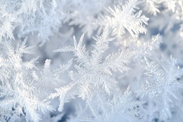 Intricate Ice Crystals Close Up Stunning Winter Wonderland Frozen Delicate Beauty Sparkling Frost