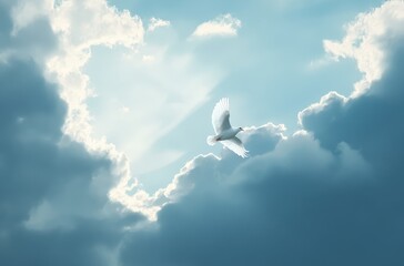 Fototapeta premium Majestic White Dove Gracefully Soaring Through Soft Clouds with Sunlight Breaking Through a Turquoise Sky