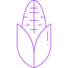 Corn single vector icon illustration