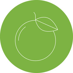 Mandarin single vector icon illustration