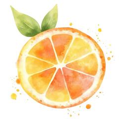 Watercolor Orange Slice Illustration (1) , transparent background