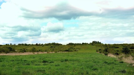 Fototapeta premium Meadow field with empty farmland.